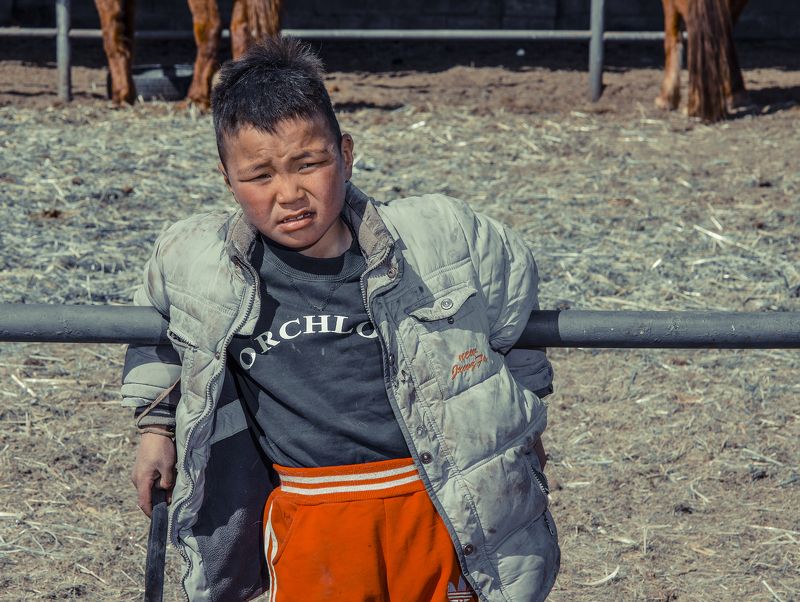 boy Horse Boyphoto preview