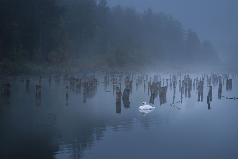 --------------- ********photo preview