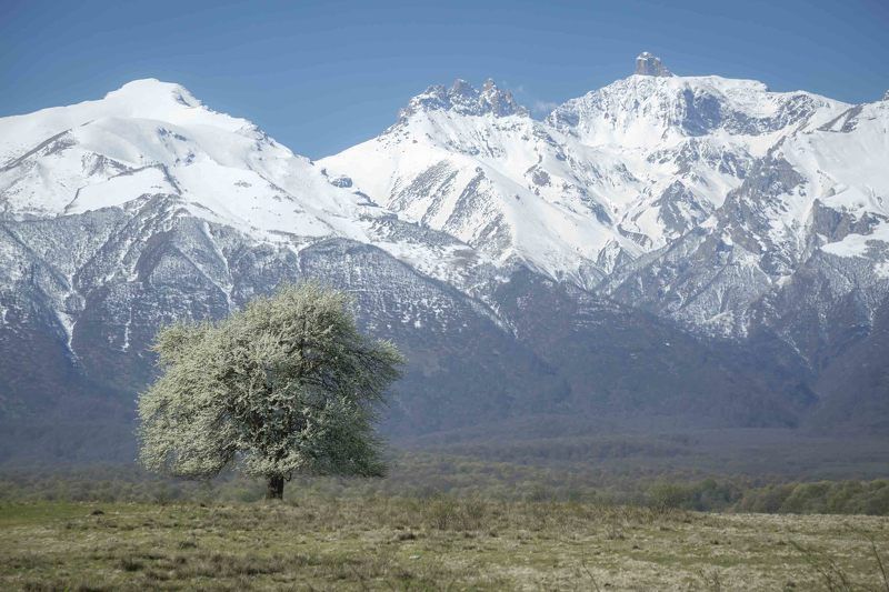 Весна в Дигорииphoto preview