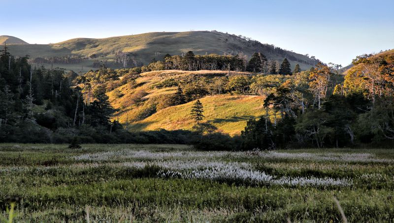 Утро красит нежным светом...photo preview