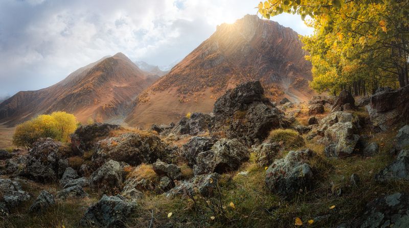 Abandoned cemeteryphoto preview