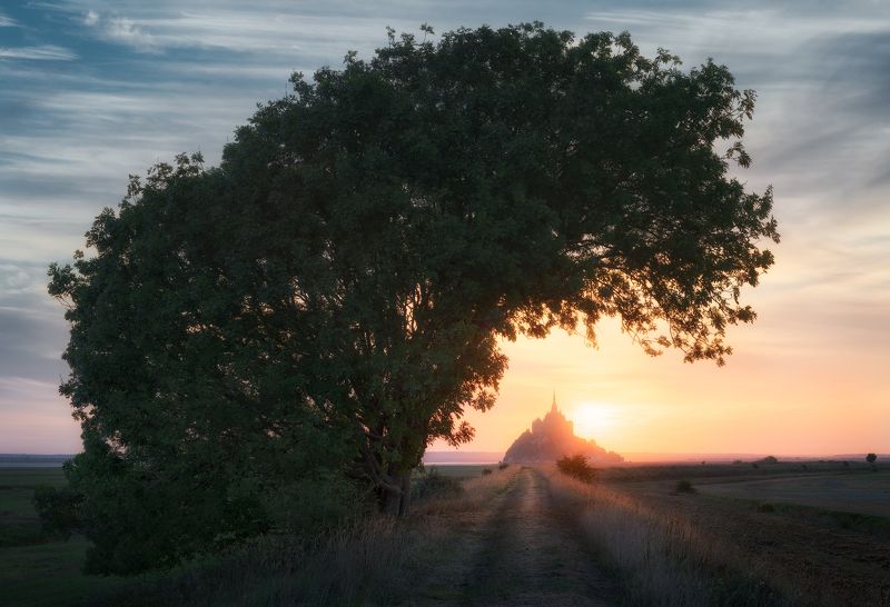 закат, рассвет, вечер, утро, восход, замок, крепость, солнце, дерево, тропа, франция, нормандия, мон-сен-мишель, мон сен мишель, mont-saint-michel, mont saint michel, france, sunset, sunrise, sun, morning, island, fortress, abbey, tree, mont saint-michel Остров-крепость Мон-Сен-Мишель / Mont-Saint-Michelphoto preview