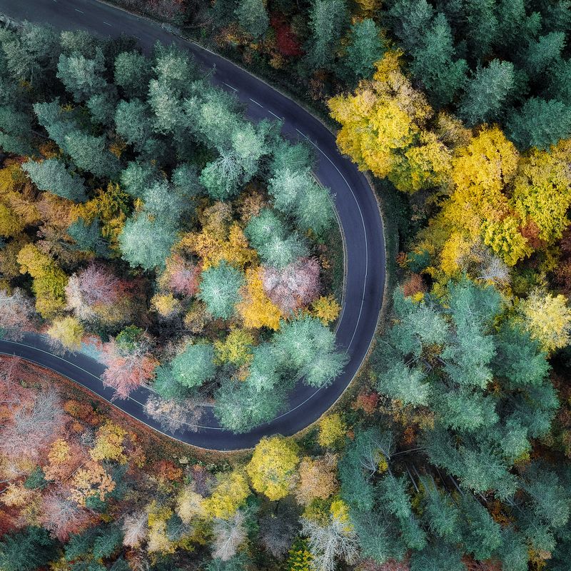 Color curvephoto preview