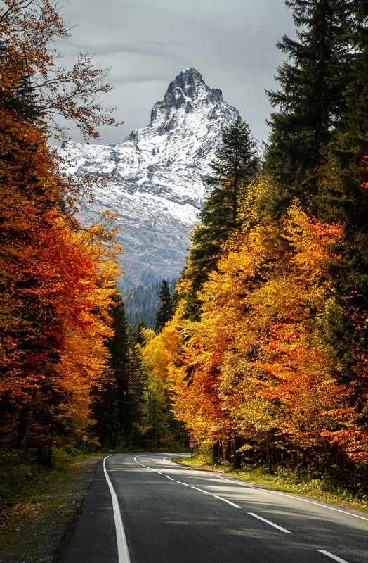 домбай, белалакая, теберда Дорога к великану фото превью