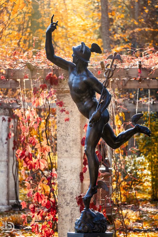 ораниенбаум Меркурийphoto preview