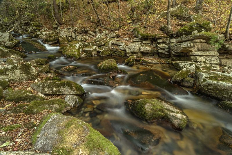 Ручей, осень, тайга photo preview