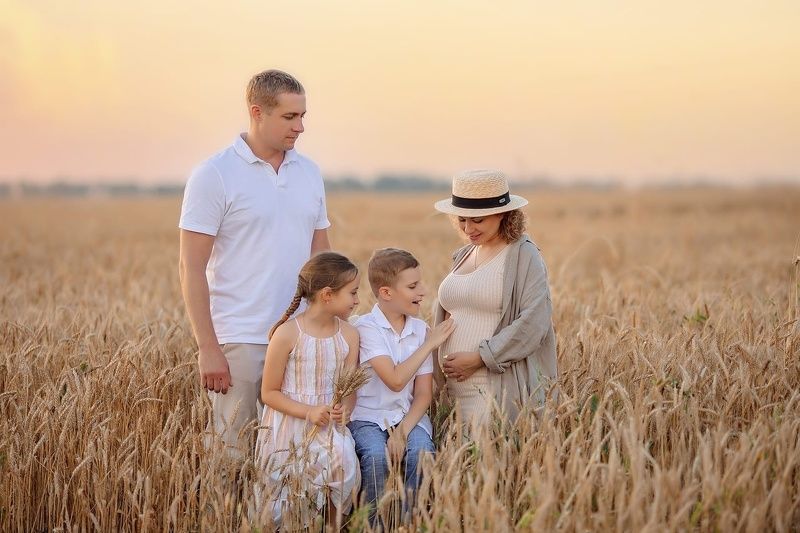 Закат в пшеницеphoto preview