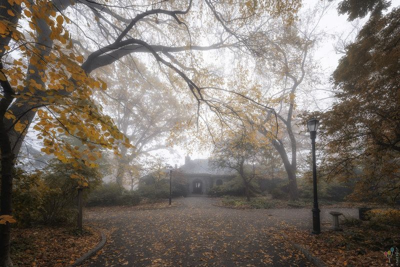 new york, October Fog in Fort Tryon Parkphoto preview