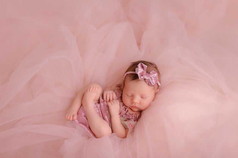 Alice фото превью