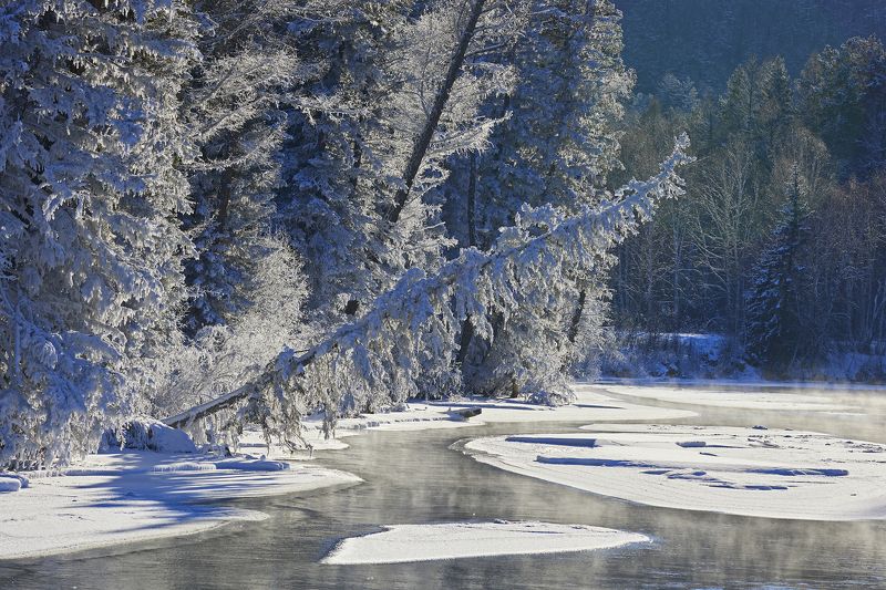 Мороз и солнцеphoto preview