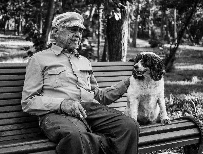 Старик, собака, друзья Единственный и верный другphoto preview