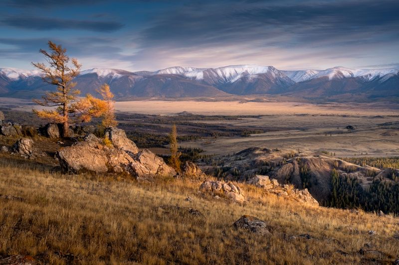 осень на алтае, республика алтай, горный алтай, курайская степь, урочище таджилу, сентябрь, алтай, нд, фототур на алтай, kurai steppe, tajilu tract, september, altai, photo tour to altai, золотой алтай, золотой алтай нд, осень, что такое осень? Ветреный вечер в урочище Таджилуphoto preview