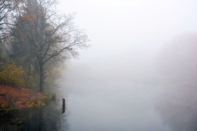 Задумчивостьphoto preview