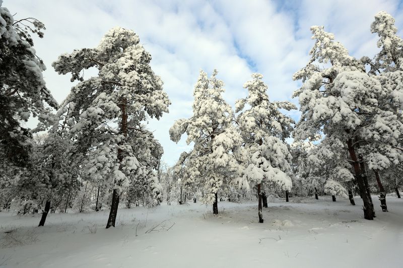 Зимушка-зимаphoto preview