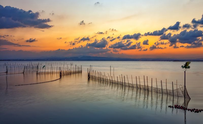 Albuferaphoto preview