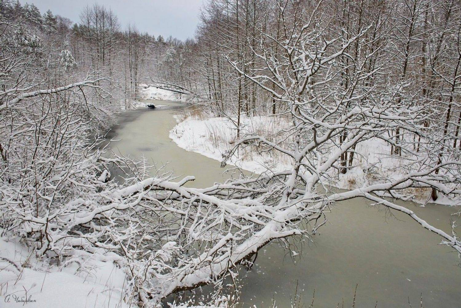 Заснежило. Автор: Александр Чибиркин саров, зима, сатис, пейзаж, Александр Чибиркин