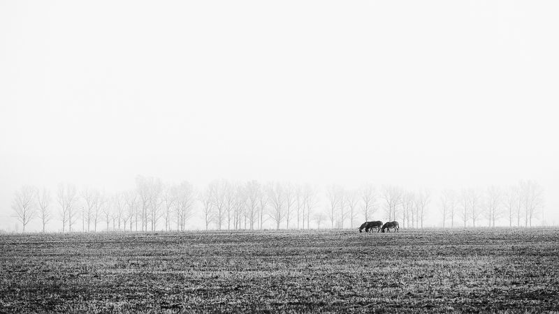 2022 фото превью