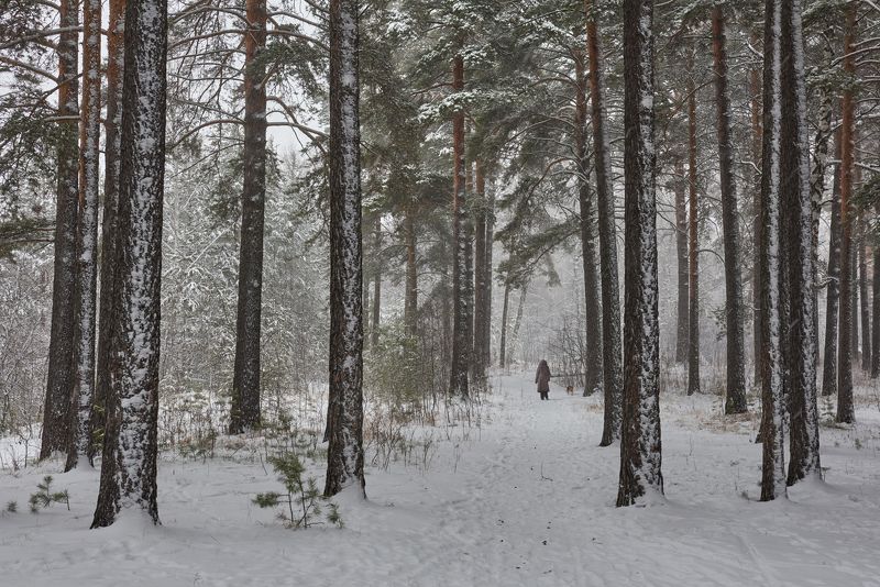 В метель...photo preview