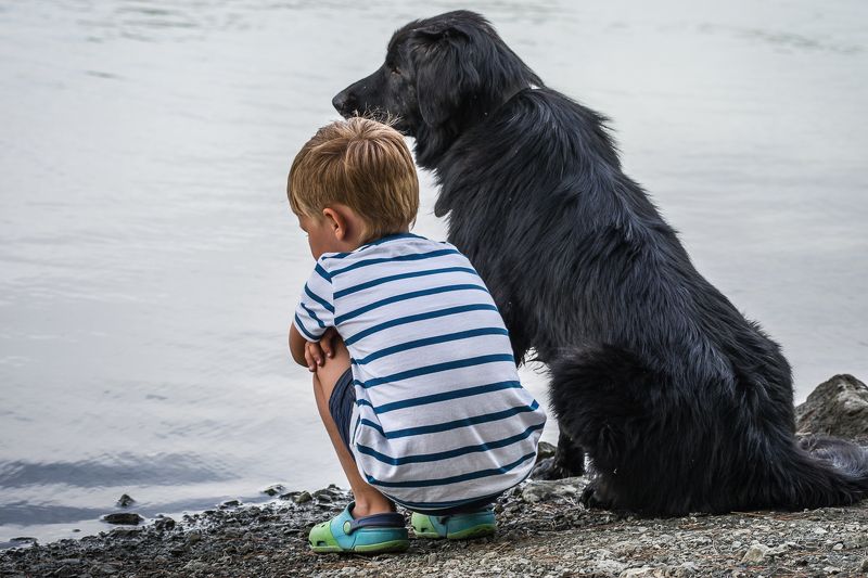 Пес и его мальчикphoto preview