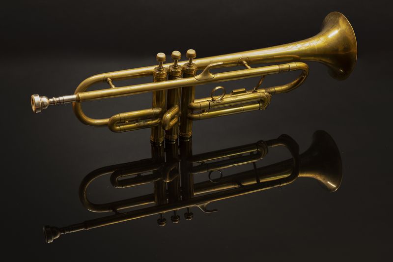 trumpet; music; studio; fog; music instrument; brass Trumpetphoto preview