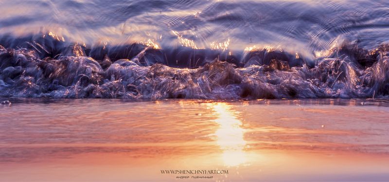 волна, свет, солнце, блик, движение, вода, абстракция, макро Проводники светаphoto preview