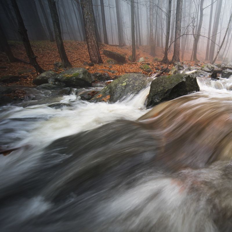 Мъглива Витошаphoto preview