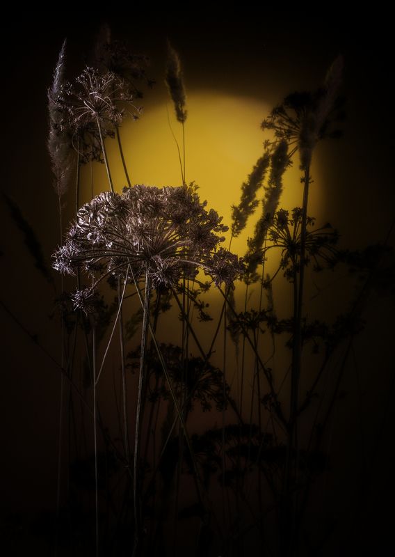 Пауза перед зимойphoto preview