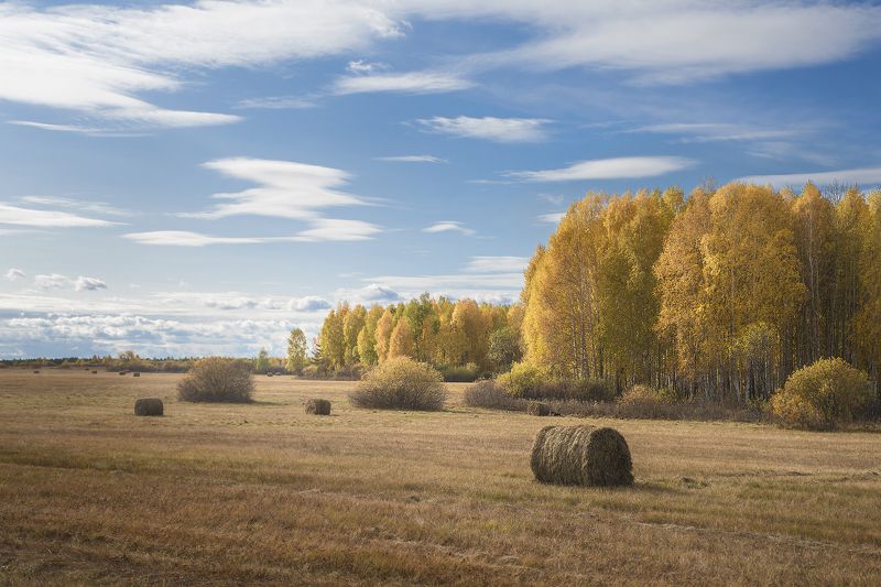 осень Краски осени.photo preview