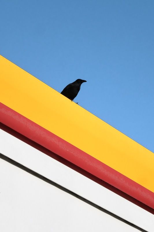 Minimal, minimalist, abstract, architecture, art,  photo preview