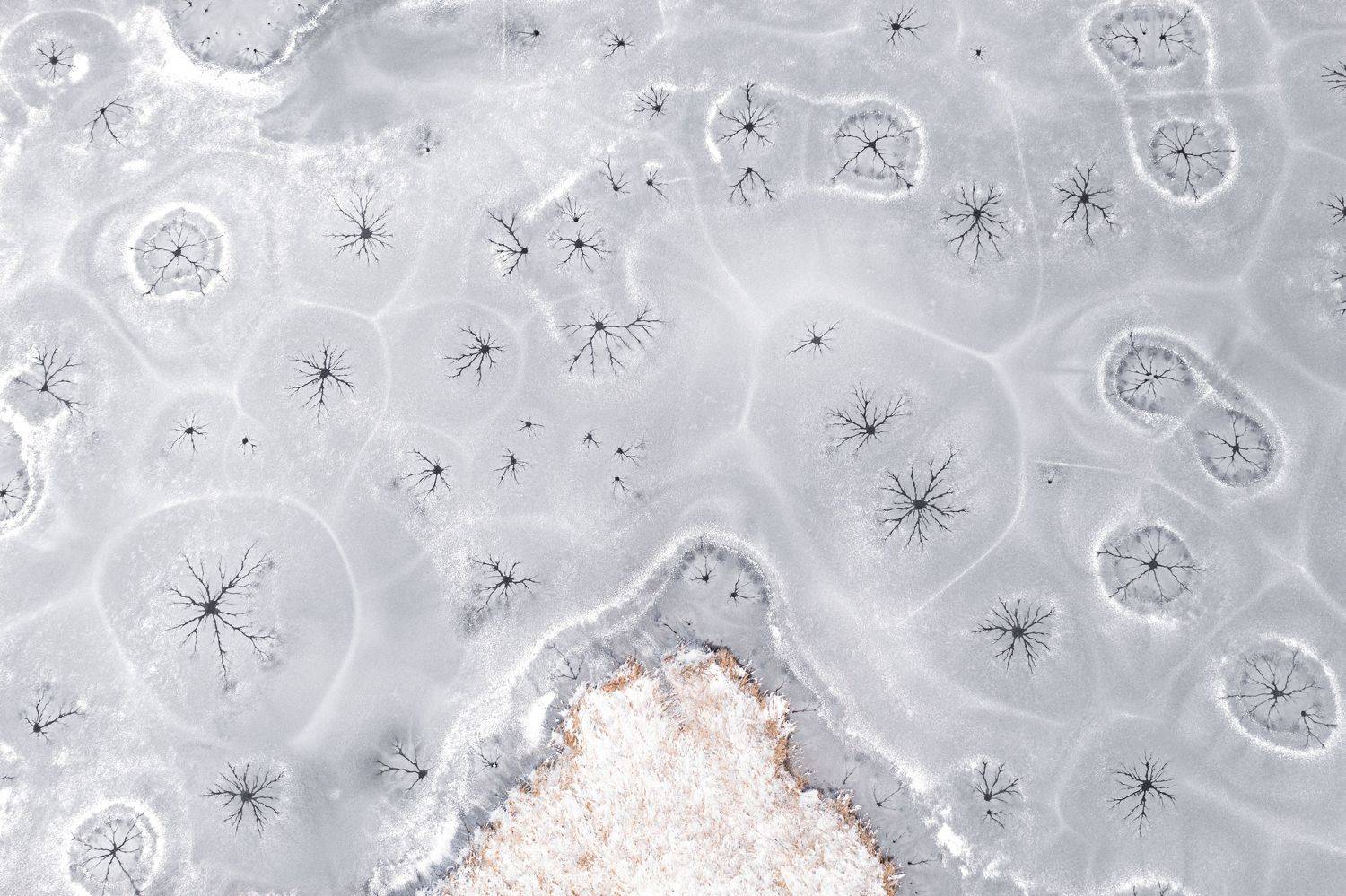 природа, фотография, пейзаж, дрон, фотограф, Dydkovskiy