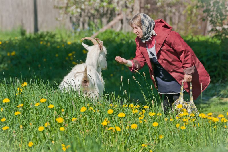 Ну я ж тебе говорю!photo preview