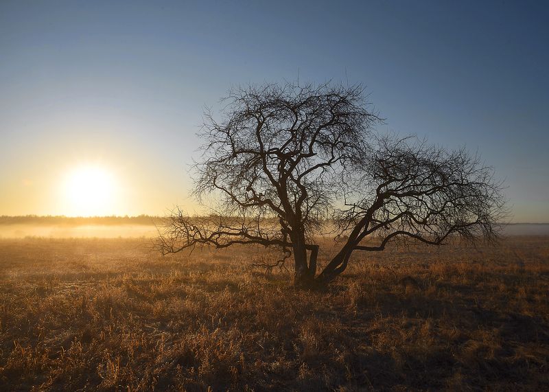 Весеннее морозное утро. photo preview