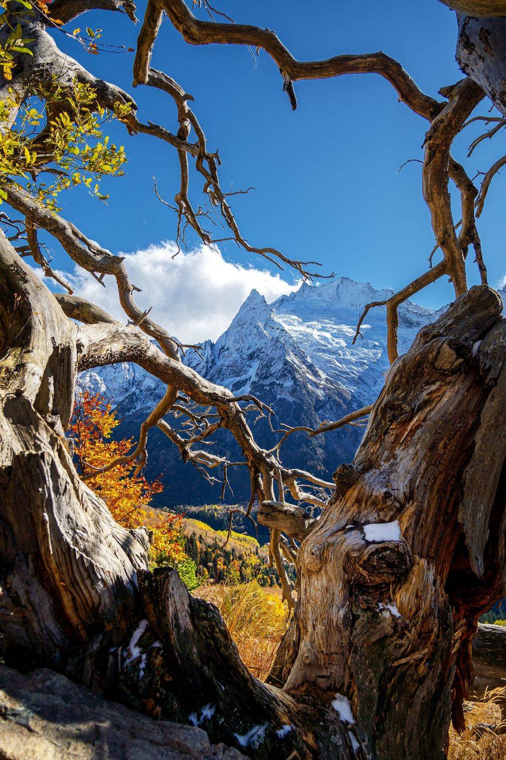 пик инэ, джугутурлючат, домбай, белалакая, теберда, кавказ, карачаево-черкесия, Уфимцев Юрий