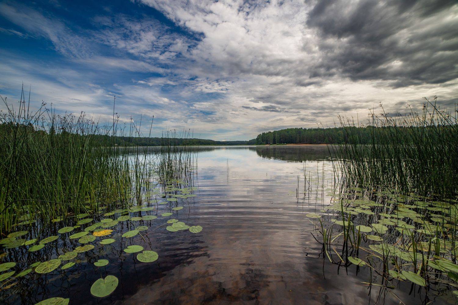 Автор: Герасимова Елена , Герасимова Елена