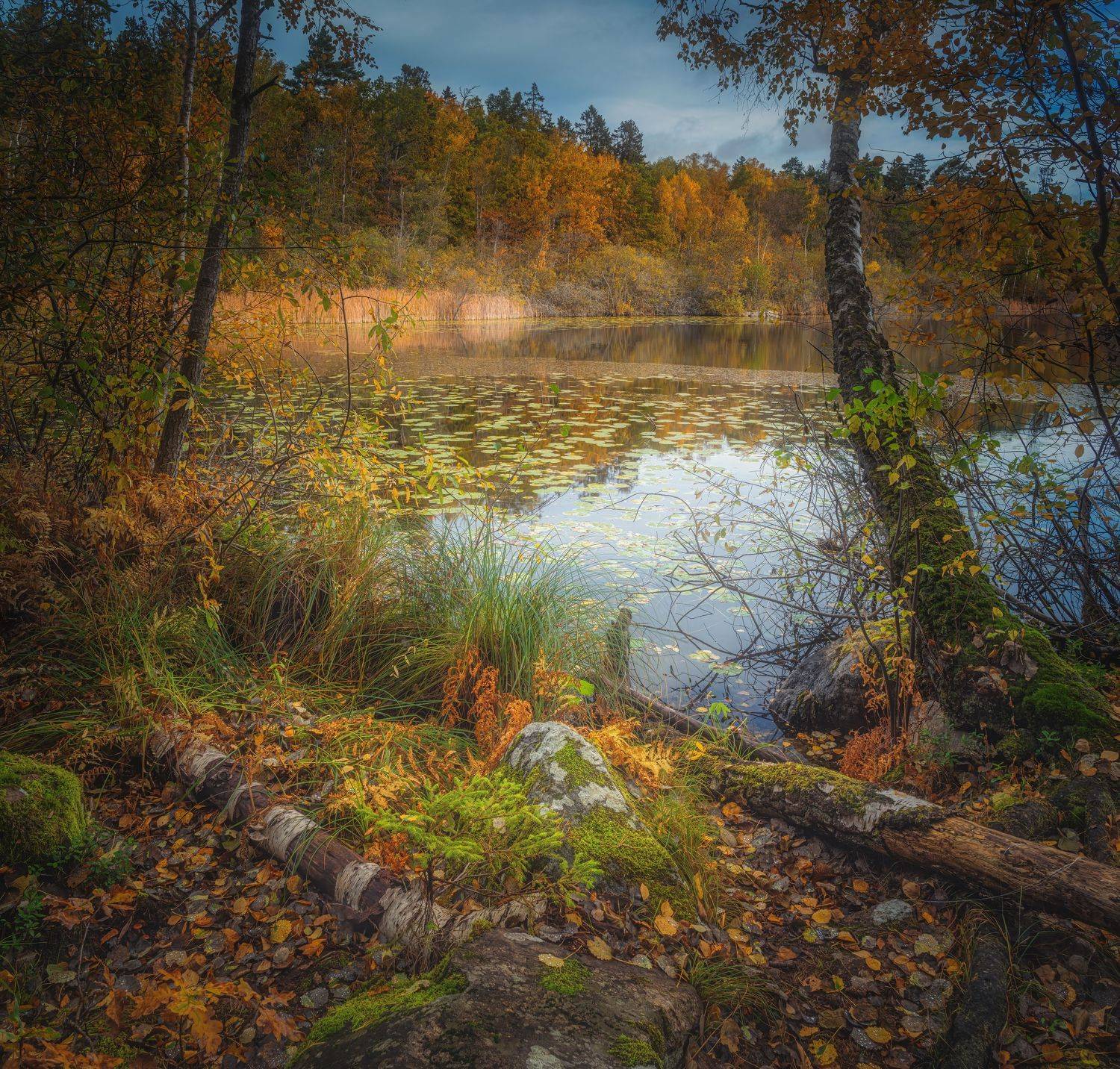 горизонтальный,  нет людей,  фотография,  на улице,  дерево,  осень,  природа,  вода,  отражение,  озеро,  пейзаж - пейзажи,  лист,  день,  лес,  спокойная сцена,, Андрей Ожерельев