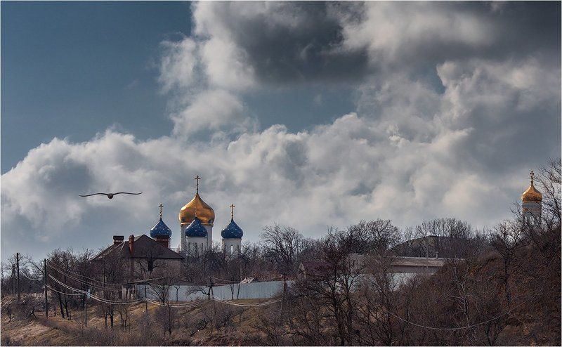 фото фото превью