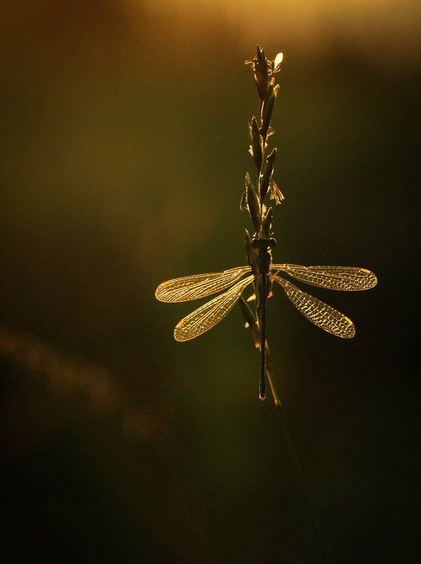 Вот мы и встретилисьphoto preview