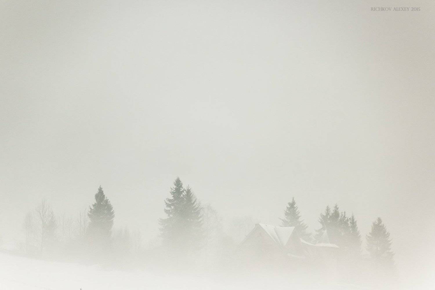 Вышков, Горы, Дом, Зима, Карпаты, Лес, Снег, Туман, Рычков Алексей