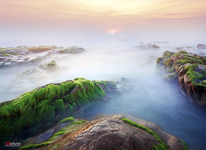 Mùa rêuphoto preview