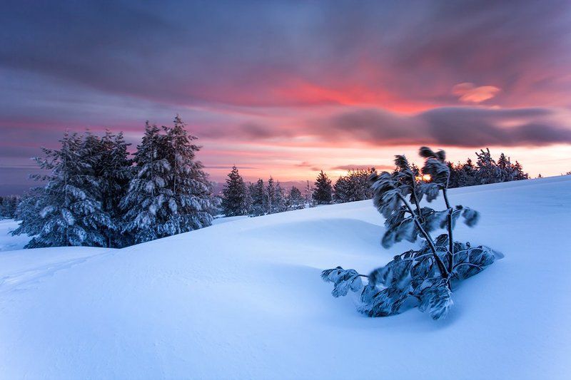 болгария, рассвет, зима Красота Зимнего Утраphoto preview