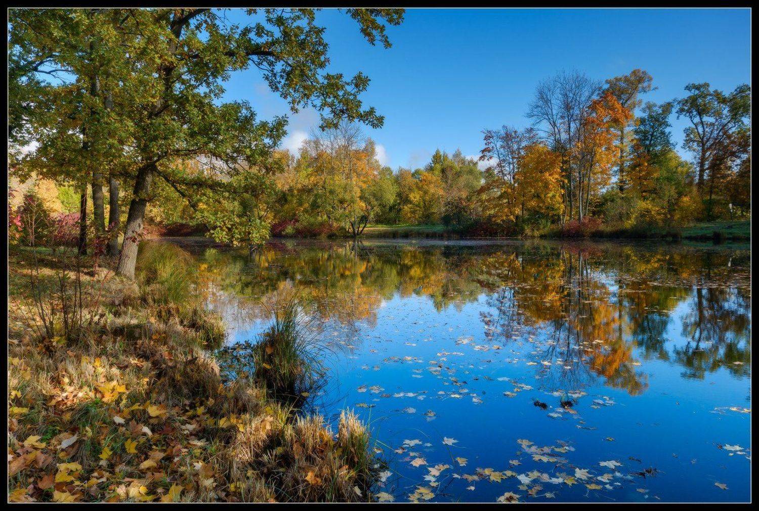Осень, Пушкин, Россия, Село, Царское, Царское село, Илья Штром