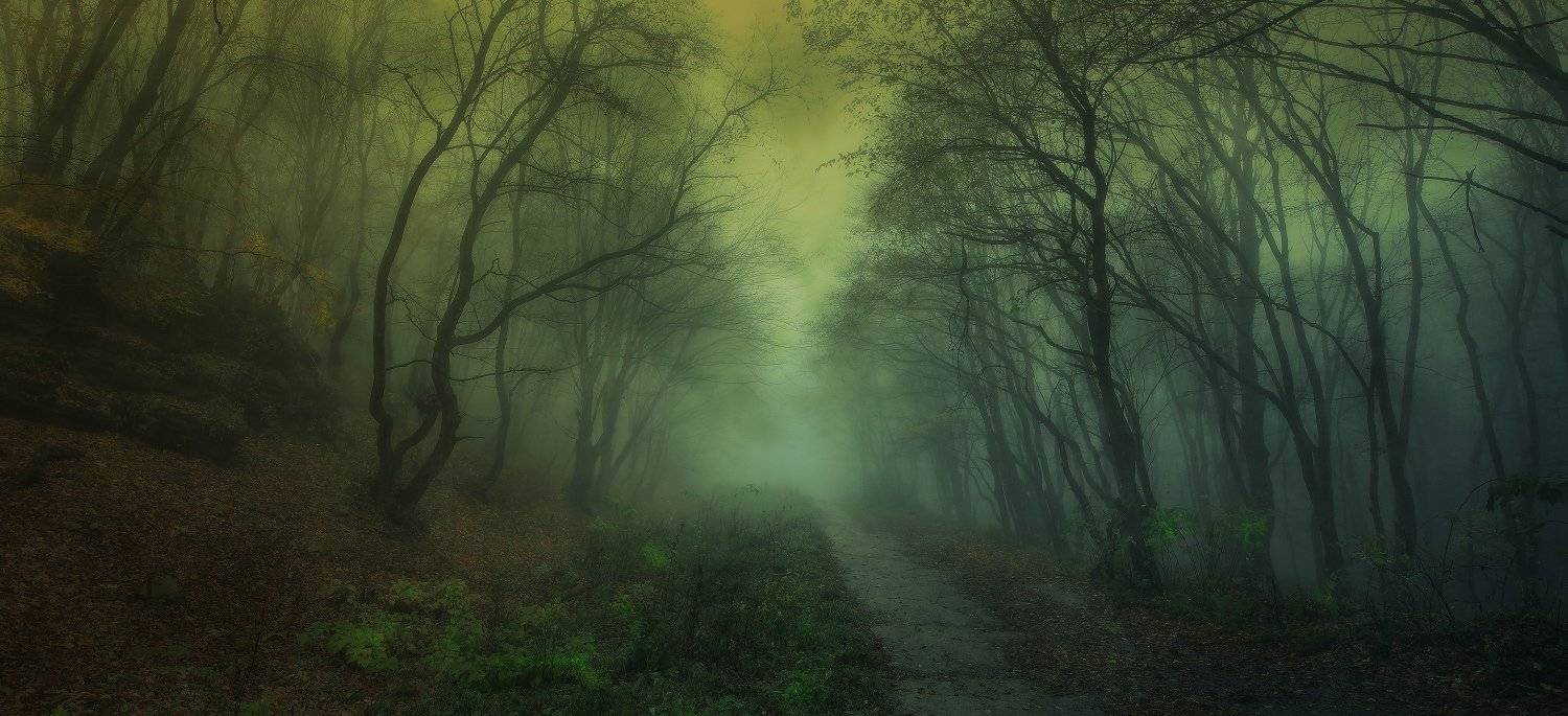 ***. Автор: Михаил Пилипенко , Михаил Пилипенко