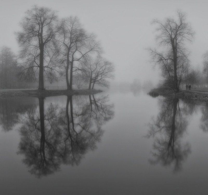 отдельный (нижний) парк, пейзаж, природа, царское село, пушкин, питер, санкт-петербург, отдельный парк, отдельный, городской пейзаж, landscape, nature Царскосельская грустьphoto preview