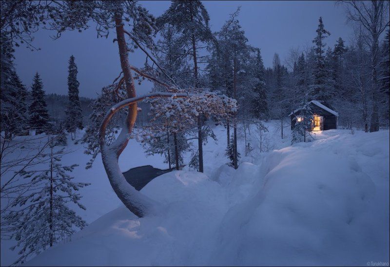 Старые друзьяphoto preview