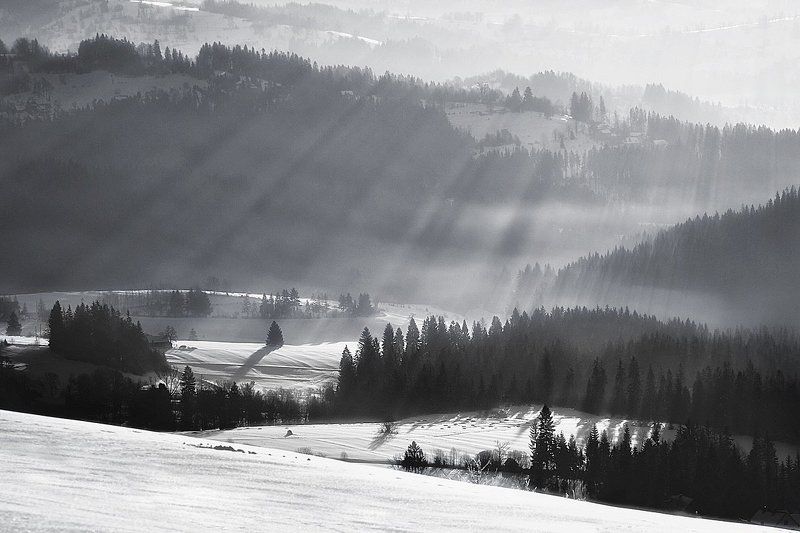 Glade ...photo preview