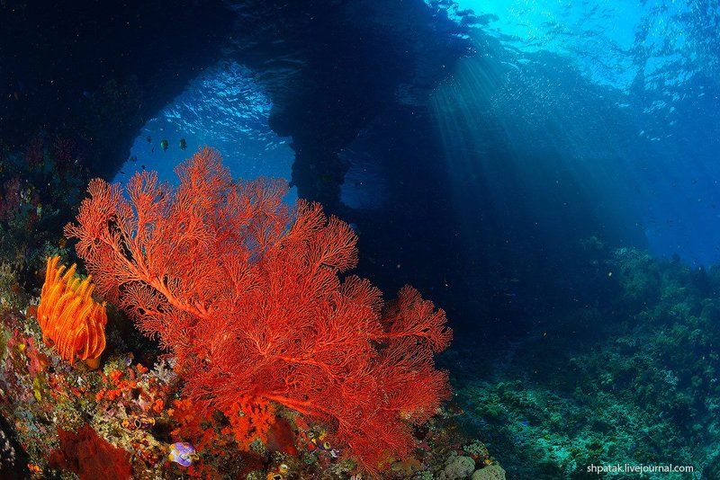 Raja Ampat. Misool isl. Windows.photo preview