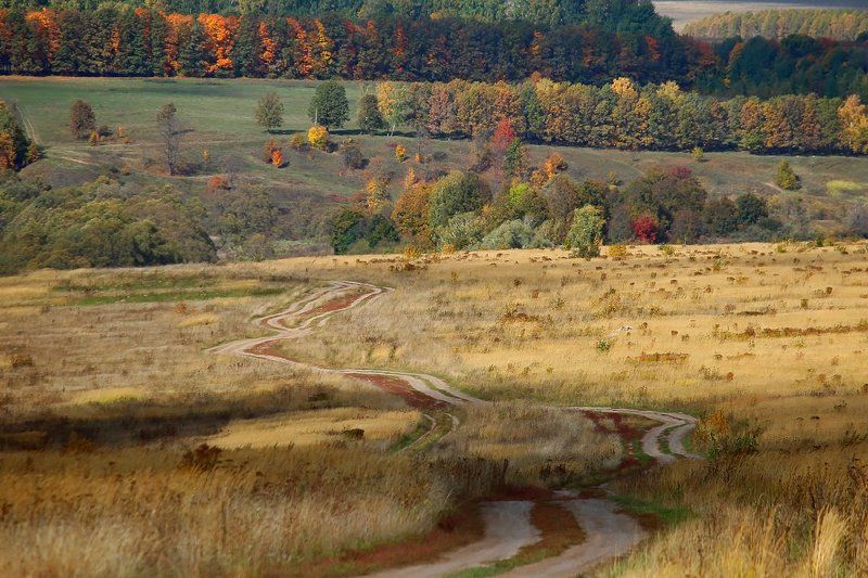 Осень, Природа Краски осени.photo preview