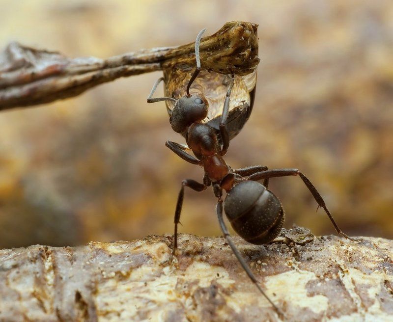 kropla życiaphoto preview