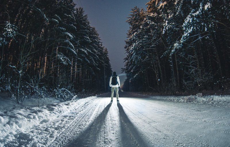 Дорога, Лес, Свет, Человек На порогеphoto preview