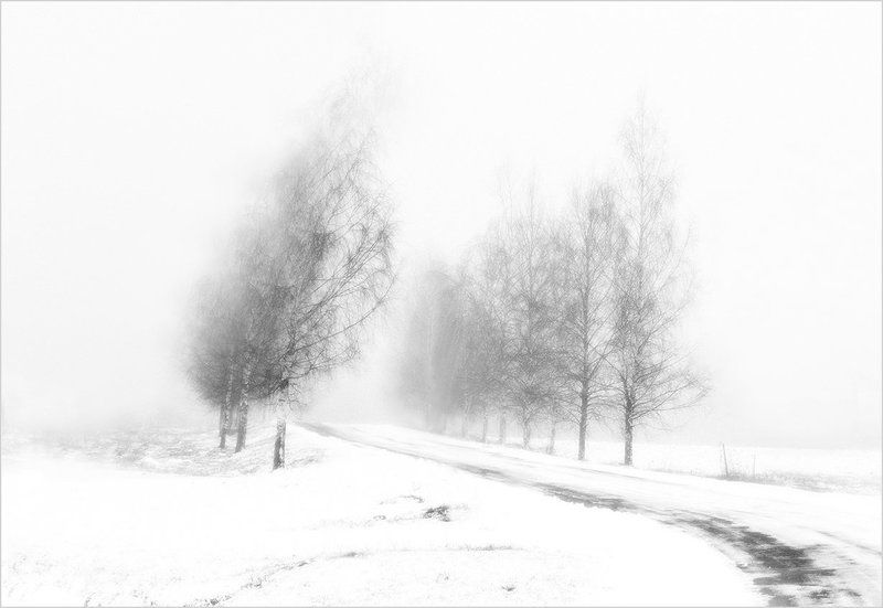 Белый пленphoto preview